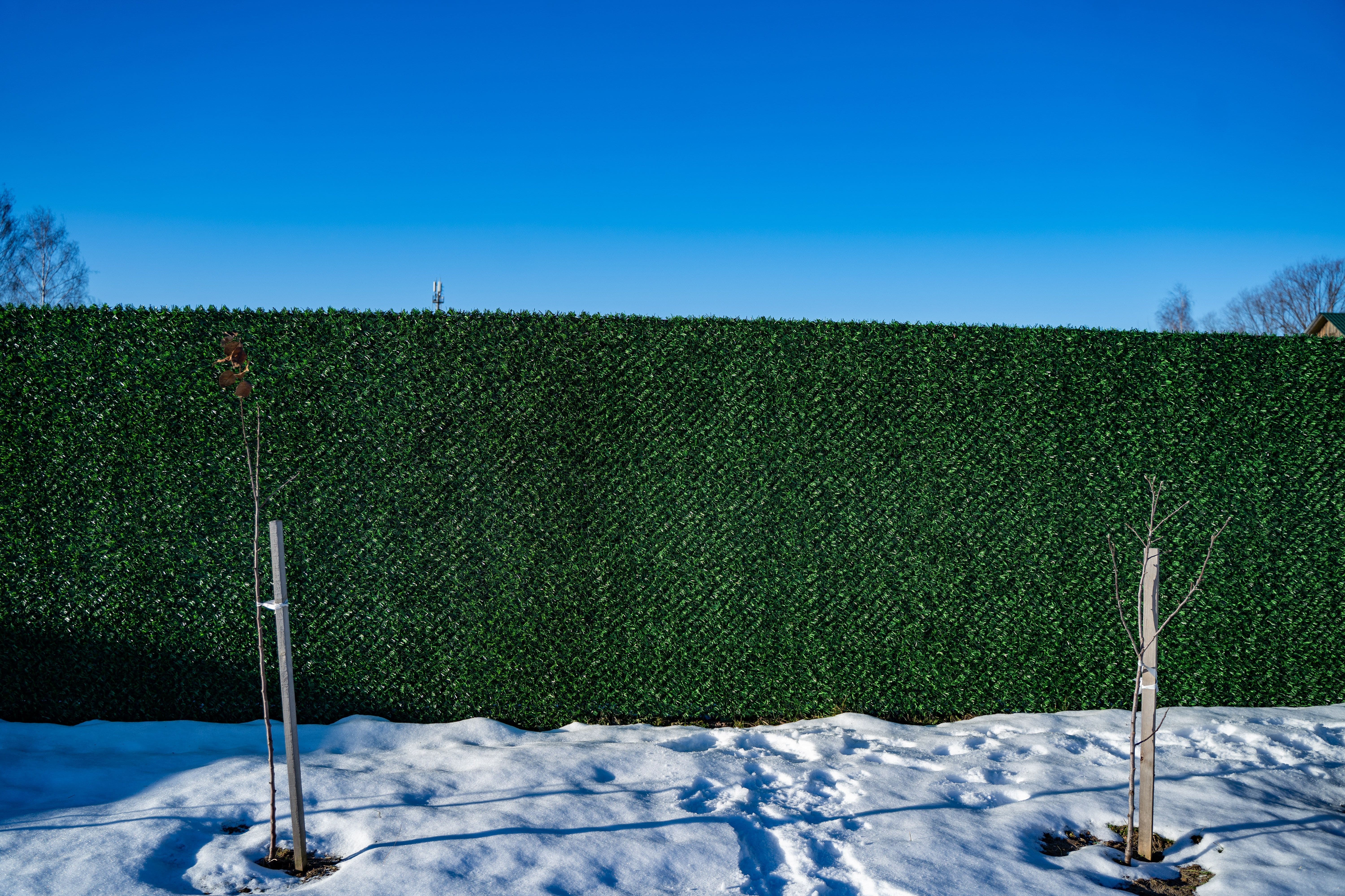 Вечнозеленый забор Grass Fence рулон 2м фото 8 в Майкопе